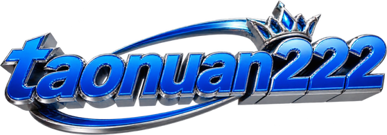 taonuan222 logo
